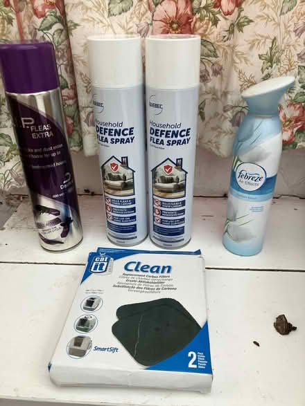 Photo of free Household flea spray, Fabreze air freshener, odour pads (Old Radnor LD8) #1