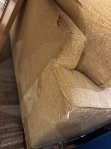 Photo of free 2 person sofa (NG1 Centre) #3