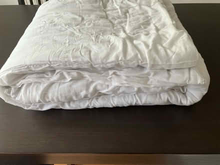 Photo of free Duvet (Northgate Village CH2) #1