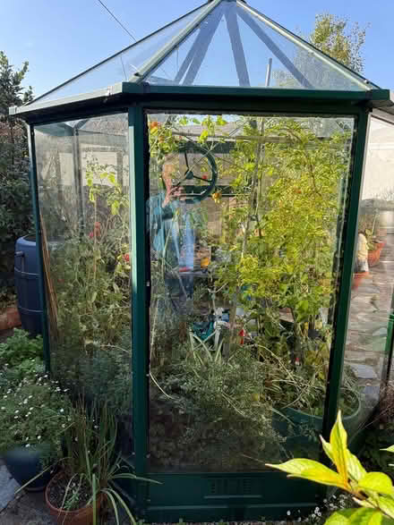 Photo of free Octagonal Fawt Green Glasshouse (Stratton EX23) #2