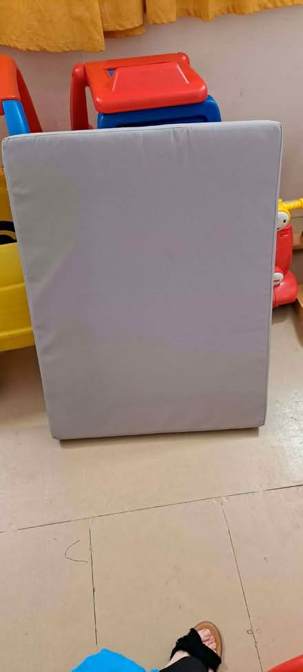 Photo of free Rattan furniture cushions (Moulsham CM2) #1