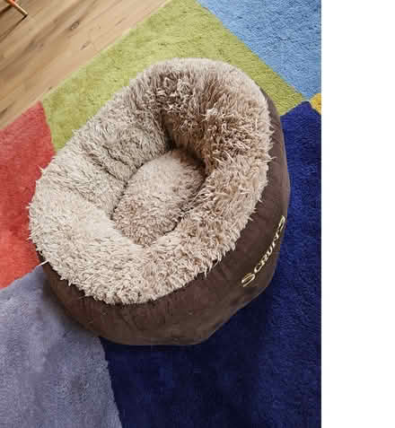 Photo of free Pet bed/nest (Ranelagh) #1