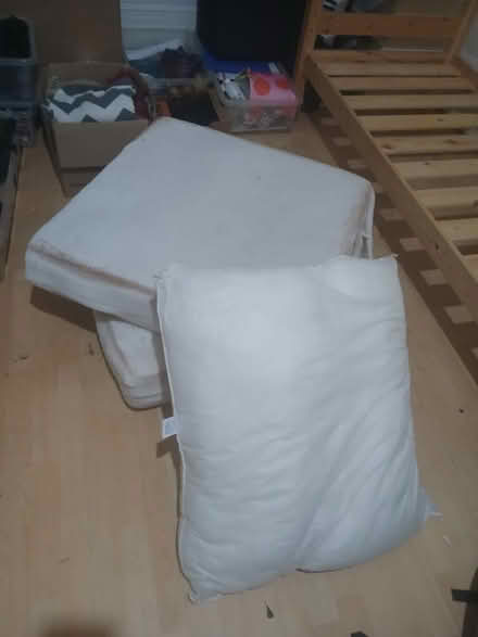 Photo of free Large cushions (Aigburth L17) #1