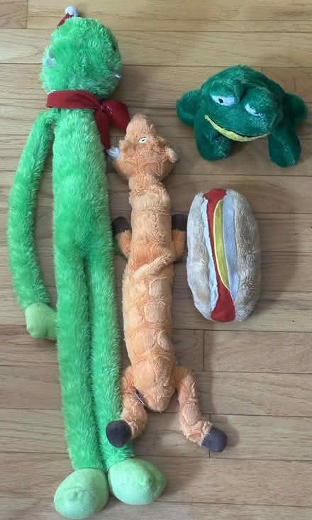 Photo of free Lot of Used, Repaired Dog Toys (Port Murray, NJ) #2