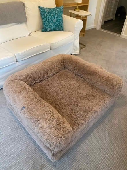 Photo of free Like-new Bedsure Foldable Dog Bed (Cabin John near Bethesda) #1