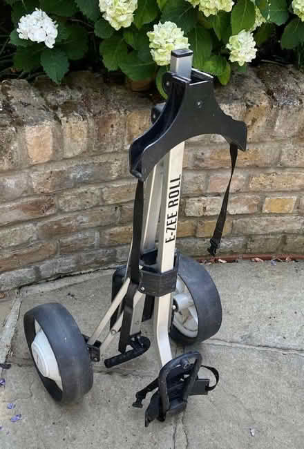Photo of free golf trolley (Barnes SW13) #1