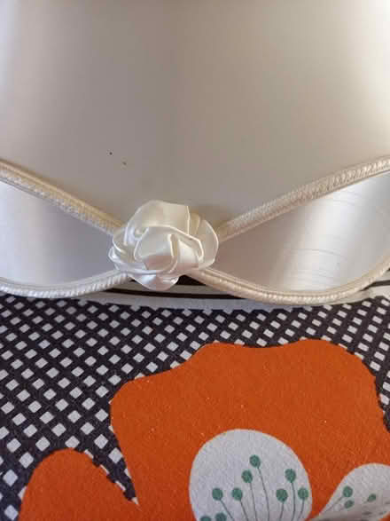 Photo of free Lampshade (Gorokan) #2