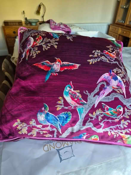 Photo of free 2 matching filled cushions with two spare identical covers (Gobowen SY11) #1