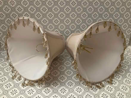 Photo of free Two Chandelier/Small Lamp Shades (Midtown East) #1