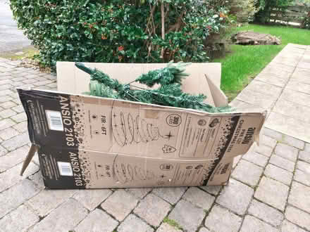 Photo of free christmas tree (Holt Park LS16) #1
