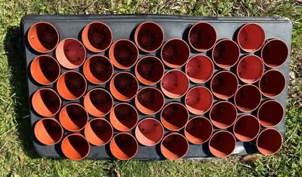 Photo of free Plant pots in a tray (Coton Hill SY1) #1