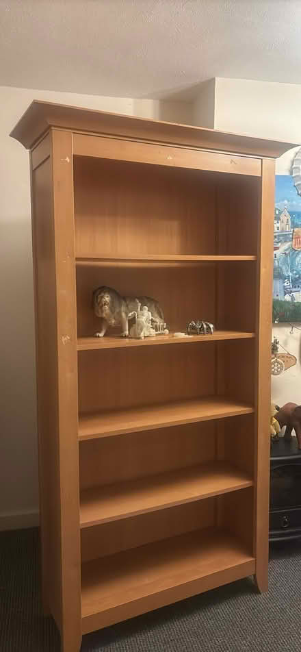 Photo of free Large Bookcase Or Shelves (Ramsgate CT11) #1