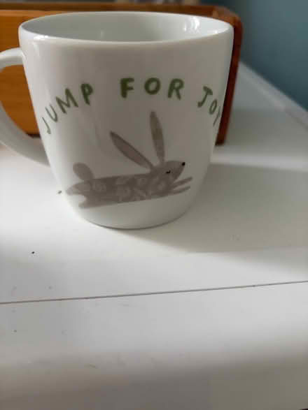 Photo of free John Lewis Mug (Westbury BA13) #1