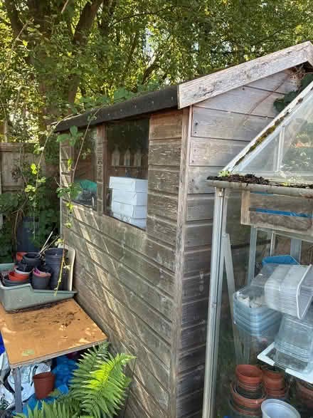 Photo of free 6x4 Polycarbonate Greenhouse (Redditch, B98) #3