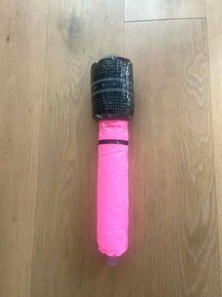 Photo of free Inflatable microphone (Ingatestone) #2