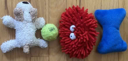 Photo of free Lot of Used Dog Toys for Small Dogs (Port Murray, NJ) #2