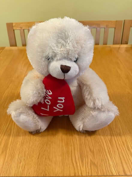 Photo of free Teddy bear (Priestwood RG42) #1