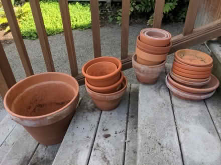 Photo of free Terracotta plant pots (Greenlake) #1