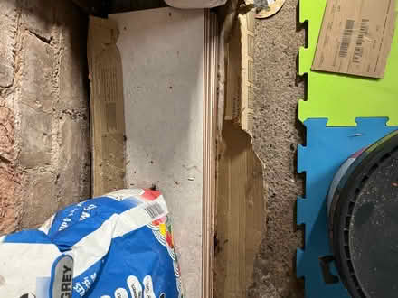 Photo of free Tiles (Woodchurch CH49) #1