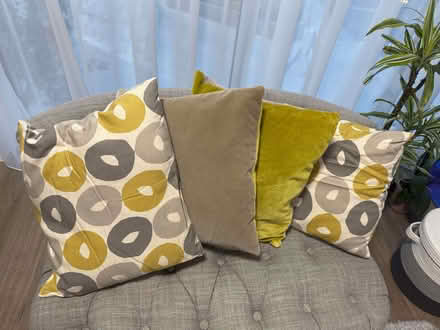 Photo of free 4 decorative cushions (without fire labels) (Chelsea Harbour SW6) #1