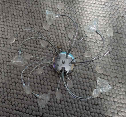 Photo of free Pair Ceiling Tulip Design Lamps (Worcester WR5) #2