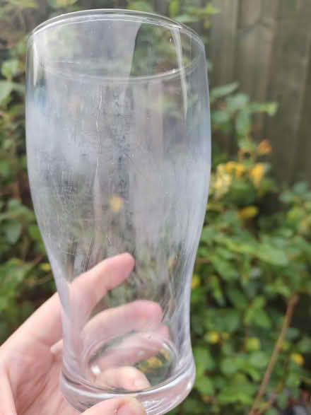 Photo of free 8 pint glasses (Headington OX3) #3