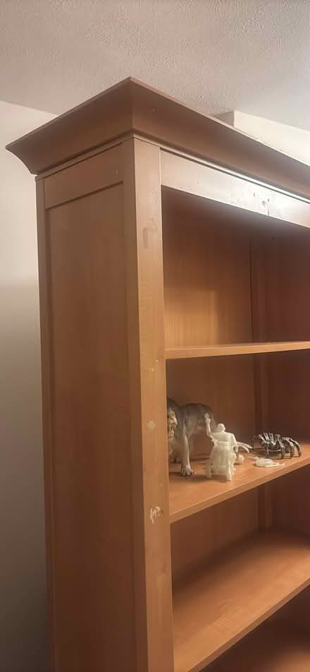 Photo of free Large Bookcase Or Shelves (Ramsgate CT11) #3