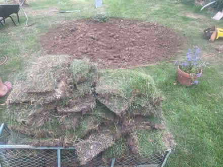 Photo of free Turf (MK14 - Stantonbury) #1