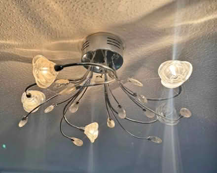Photo of free Pair Ceiling Tulip Design Lamps (Worcester WR5) #1