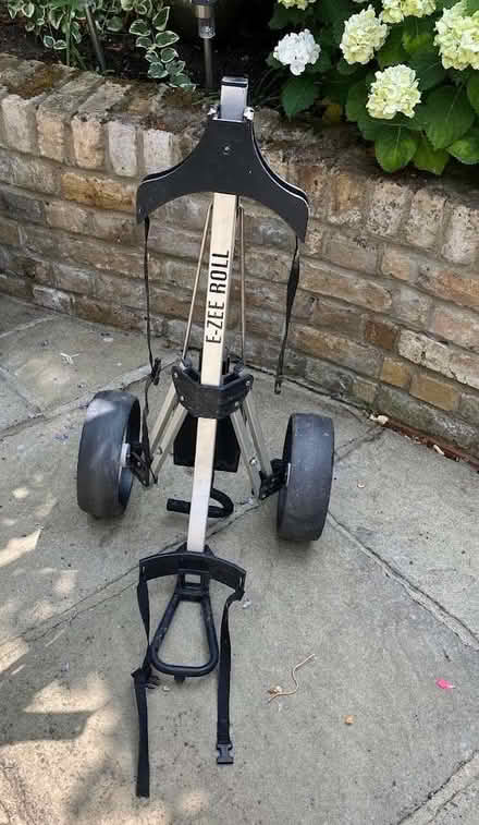 Photo of free golf trolley (Barnes SW13) #4