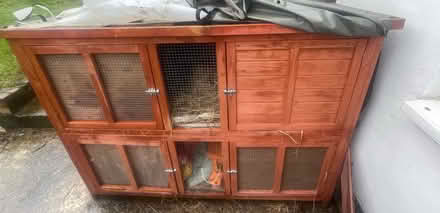 Photo of free Guinea pig or rabbit hutch (Rowlands Gill NE39) #1