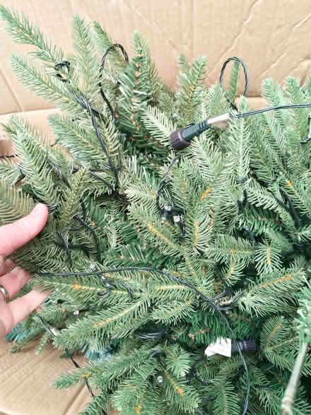 Photo of free christmas tree (Holt Park LS16) #2