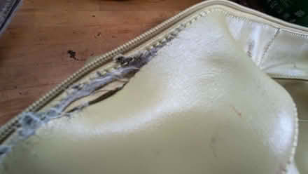 Photo of free Green bag in need of repair or for fabric only (Harlescott SY1) #2