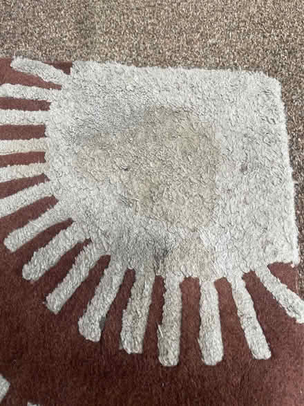 Photo of free Patterned Brown and Grey/Blue rug (Great Eccleston PR3) #4
