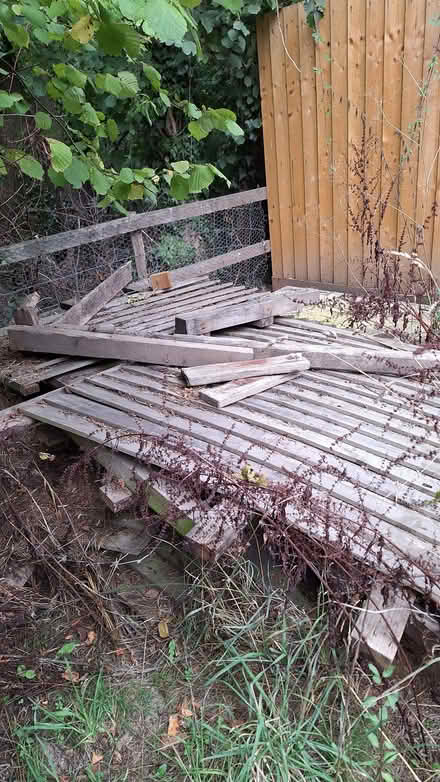 Photo of free old fencing and posts (Leintwardine SY7) #1