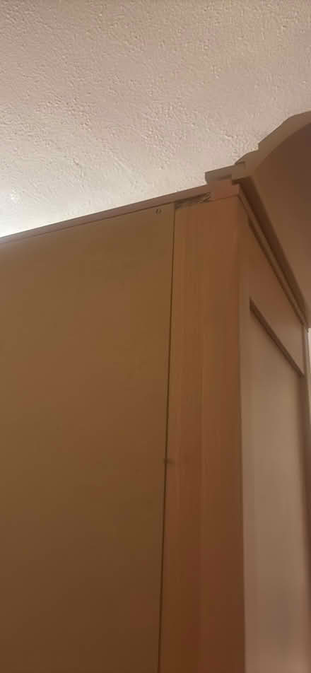 Photo of free Large Bookcase Or Shelves (Ramsgate CT11) #2