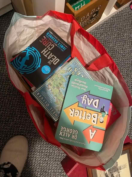 Photo of free Bag of books (Southdown BA2) #1