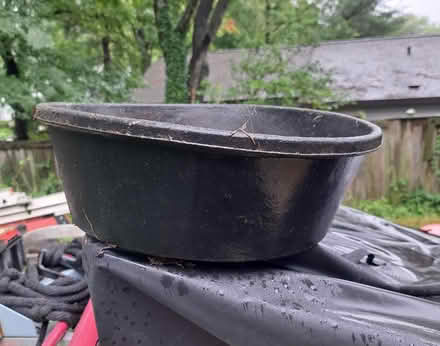 Photo of free Dog dish (Near NoVa campus) #1