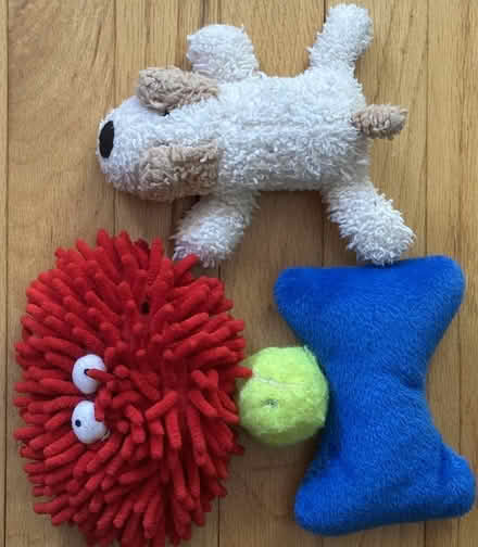 Photo of free Lot of Used Dog Toys for Small Dogs (Port Murray, NJ) #1