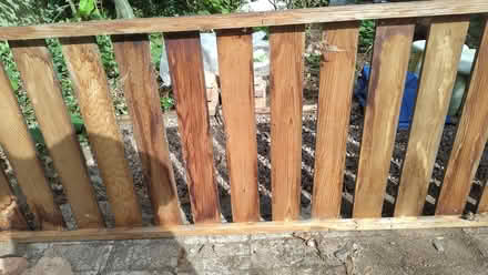 Photo of free Greenhouse staging (no legs) (Kings Heath B14) #3