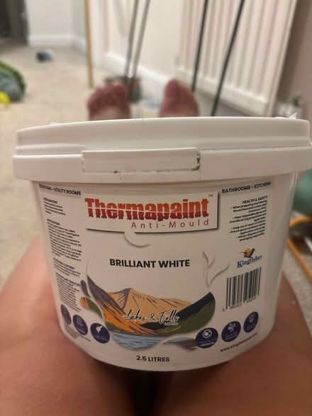 Photo of free Unopened white anti mould paint (Arborfield RG2) #1