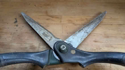 Photo of free Garden Shears (Harlescott SY1) #1