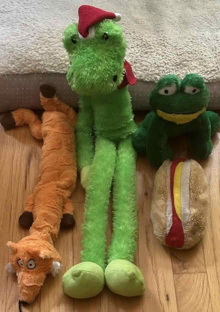 Photo of free Lot of Used, Repaired Dog Toys (Port Murray, NJ) #1