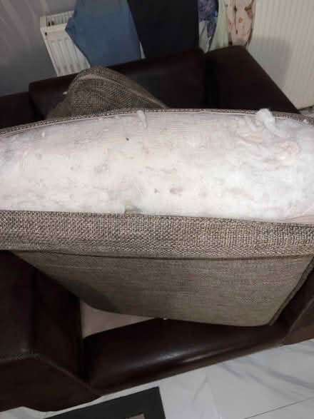 Photo of free Brown large 3 and 1 seater sofa (Hertsmere WD6) #4