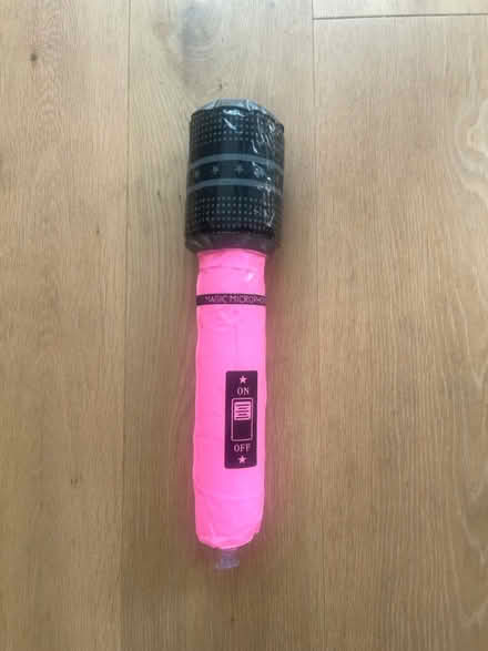 Photo of free Inflatable microphone (Ingatestone) #1