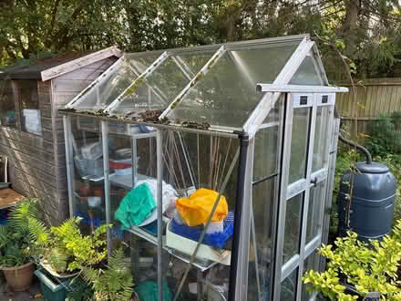 Photo of free 6x4 Polycarbonate Greenhouse (Redditch, B98) #2