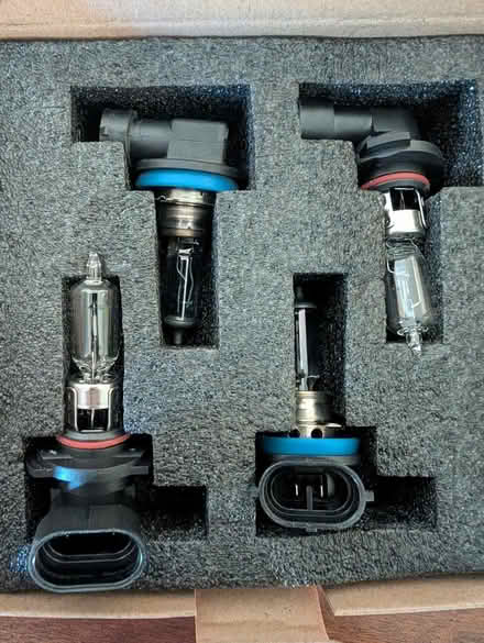 Photo of free Halogen headlight bulbs (West Littleton) #3