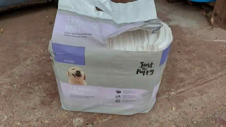 Photo of free Puppy training pads (Hall End MK45) #1