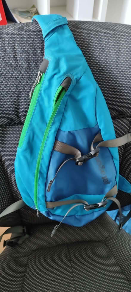 Photo of free Patagonia backpacks (Boverton CF61) #2