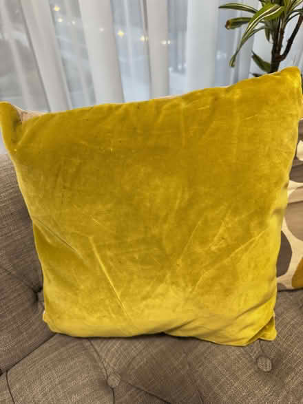 Photo of free 4 decorative cushions (without fire labels) (Chelsea Harbour SW6) #2